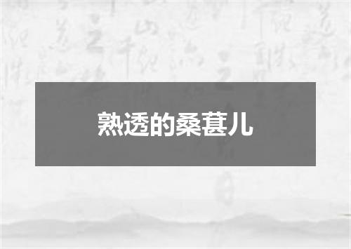 熟透的桑葚儿