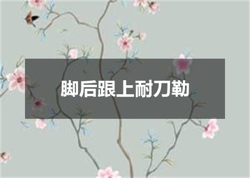 脚后跟上耐刀勒