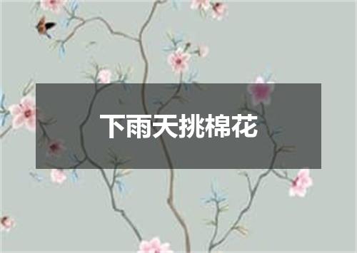 下雨天挑棉花