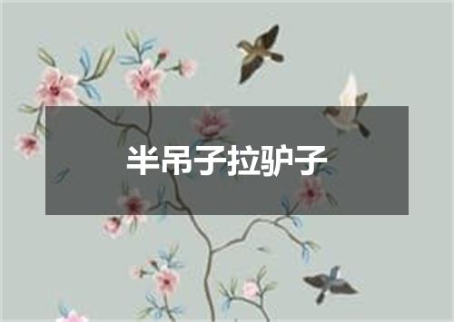 半吊子拉驴子