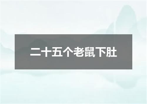 二十五个老鼠下肚