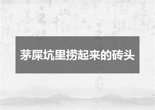 茅屎坑里捞起来的砖头