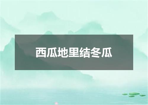 西瓜地里结冬瓜