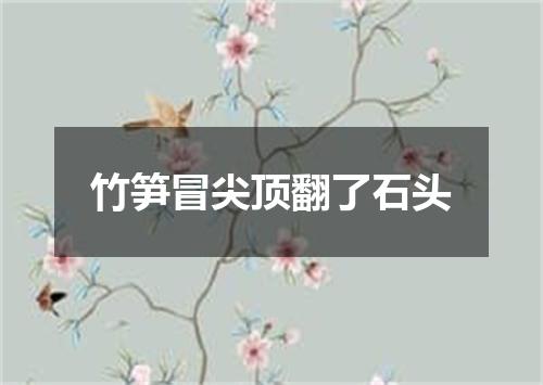 竹笋冒尖顶翻了石头