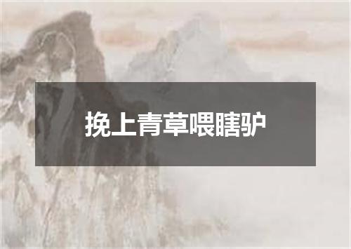 挽上青草喂瞎驴