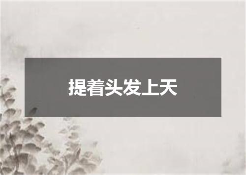 提着头发上天