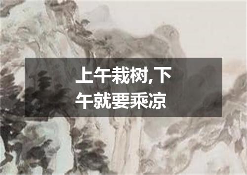 上午栽树,下午就要乘凉