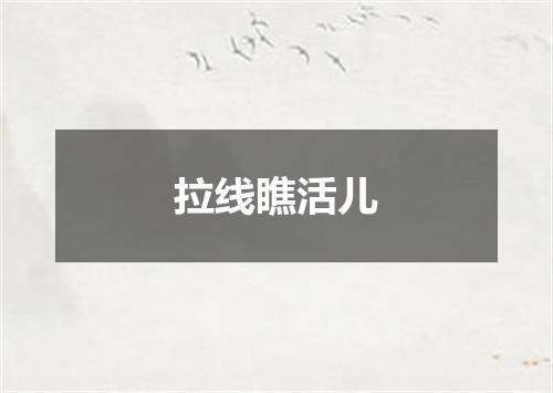 拉线瞧活儿
