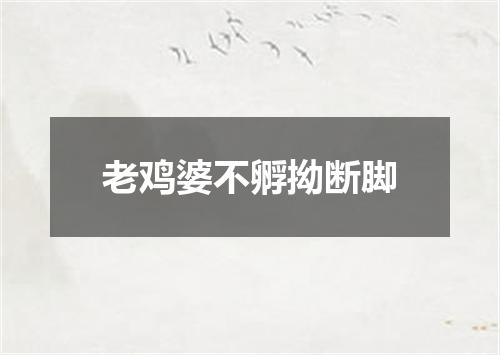 老鸡婆不孵拗断脚