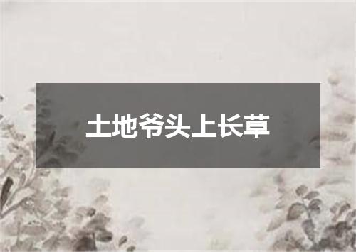 土地爷头上长草