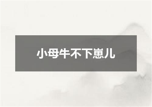 小母牛不下崽儿