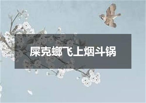 屎克螂飞上烟斗锅