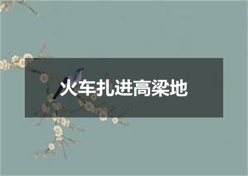 火车扎进高梁地
