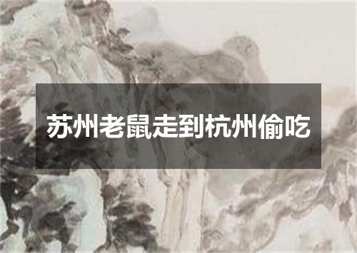 苏州老鼠走到杭州偷吃