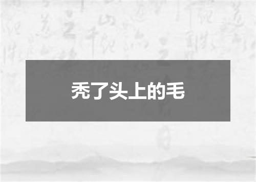 秃了头上的毛