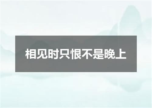 相见时只恨不是晚上