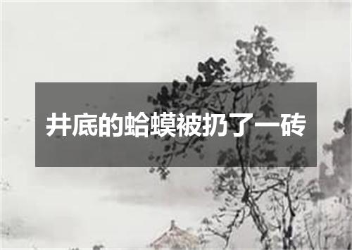 井底的蛤蟆被扔了一砖
