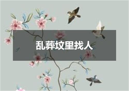 乱葬坟里找人