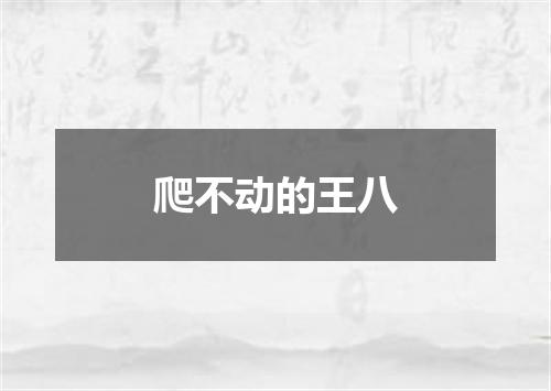 爬不动的王八