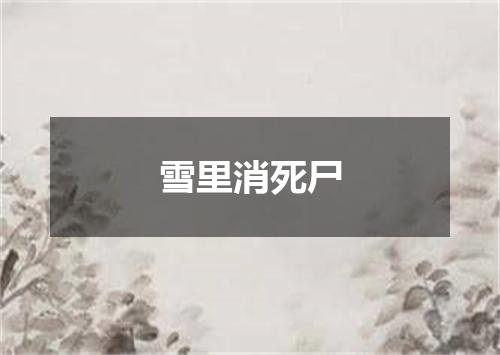 雪里消死尸