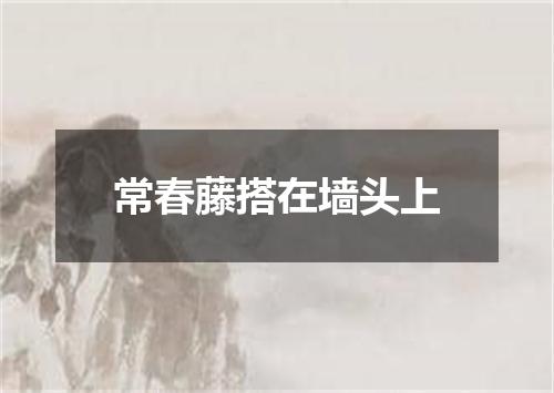 常春藤搭在墙头上