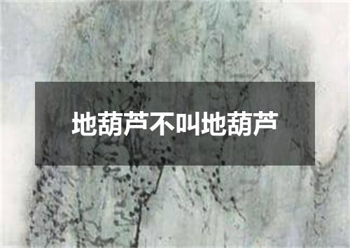 地葫芦不叫地葫芦
