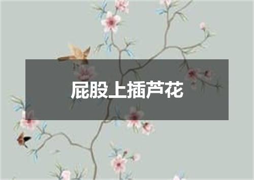 屁股上插芦花