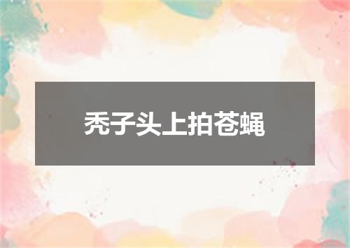 秃子头上拍苍蝇