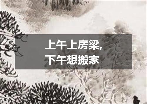 上午上房梁,下午想搬家