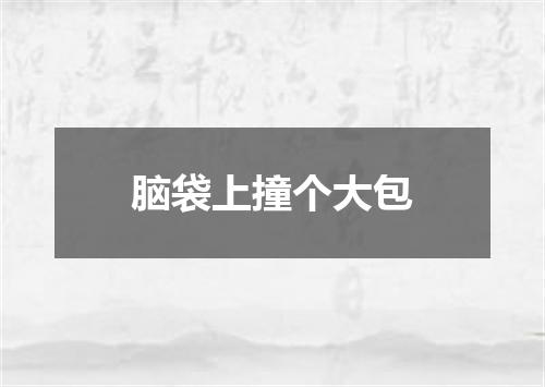 脑袋上撞个大包