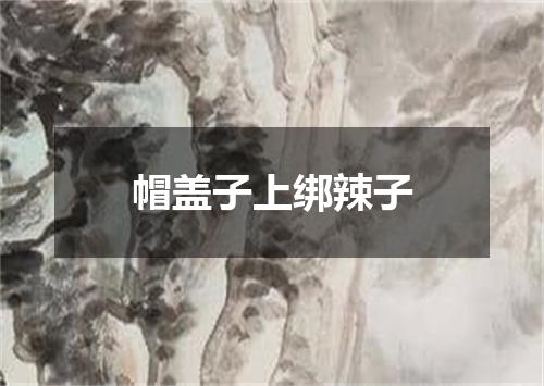 帽盖子上绑辣子