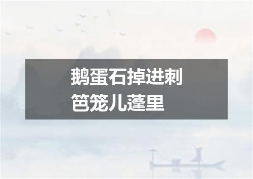鹅蛋石掉进刺笆笼儿蓬里