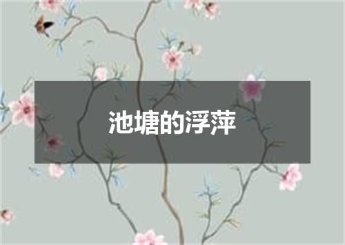 池塘的浮萍