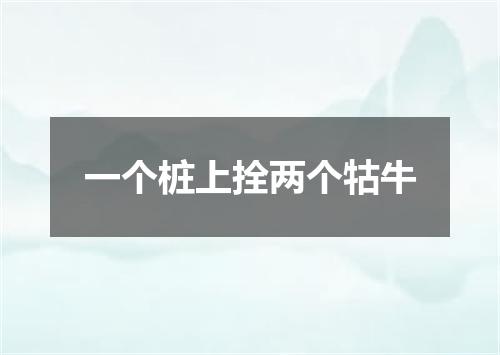 一个桩上拴两个牯牛