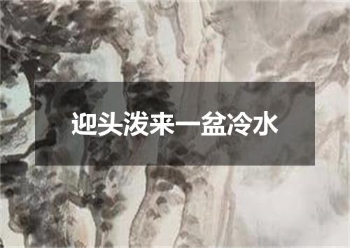 迎头泼来一盆冷水