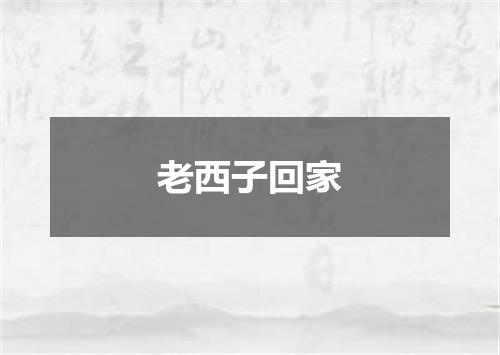 老西子回家