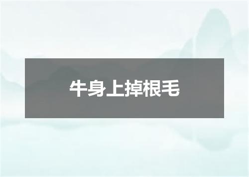 牛身上掉根毛