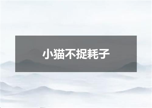 小猫不捉耗子