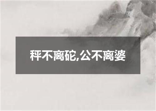 秤不离砣,公不离婆