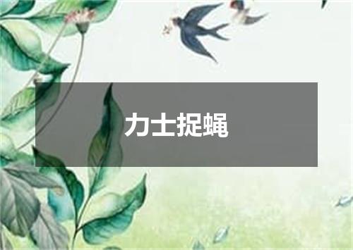 力士捉蝇