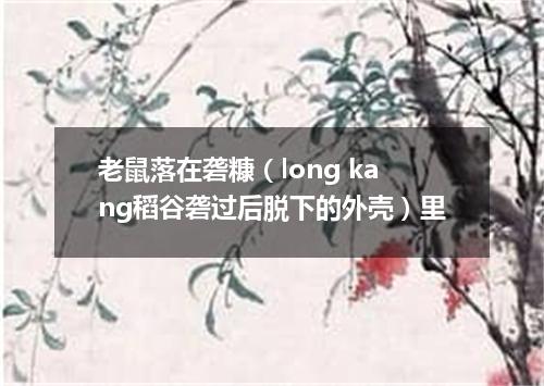 老鼠落在砻糠（long kang稻谷砻过后脱下的外壳）里