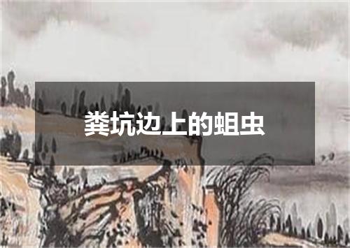 粪坑边上的蛆虫