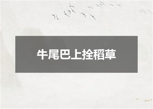 牛尾巴上拴稻草
