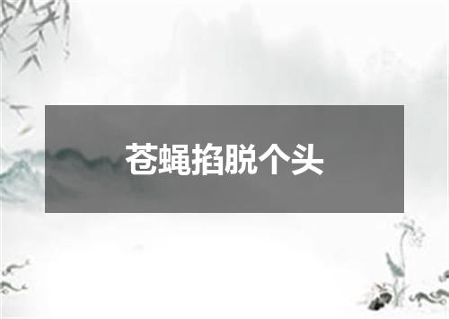 苍蝇掐脱个头