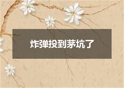 炸弹投到茅坑了