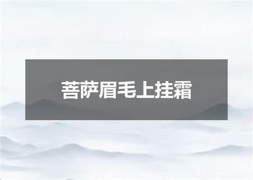 菩萨眉毛上挂霜