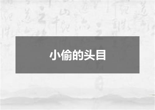 小偷的头目