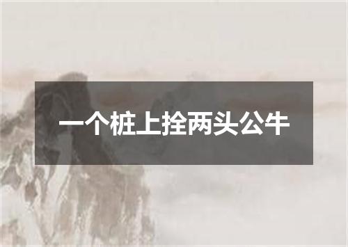 一个桩上拴两头公牛