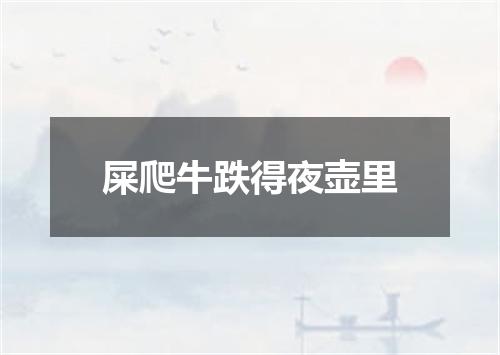 屎爬牛跌得夜壶里