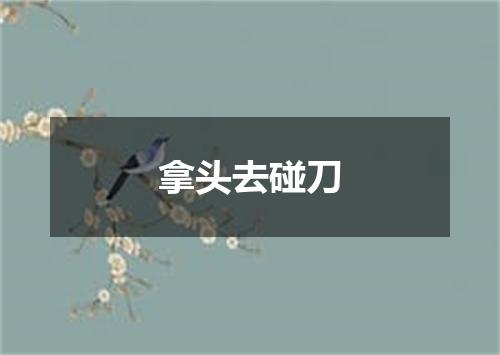拿头去碰刀